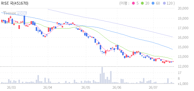 RISE 국채30년레버리지(합성) 일봉 차트
