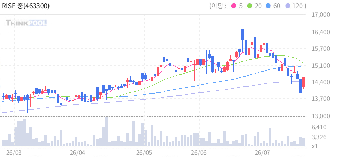 RISE 중국본토CSI300 일봉 차트