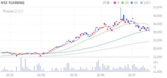 RISE 미국반도체NYSE 일봉 차트