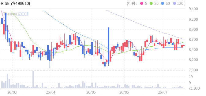 RISE 인도디지털성장 일봉 차트